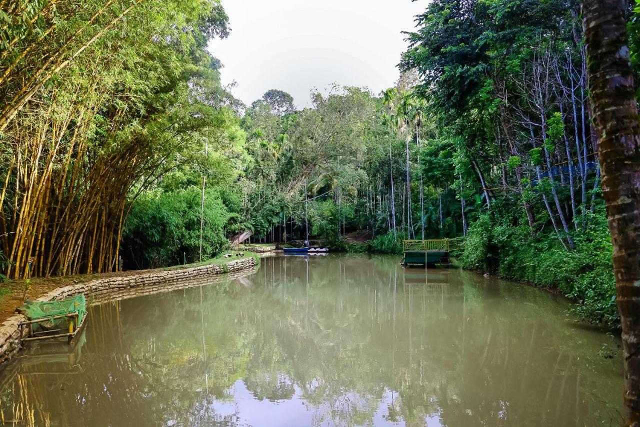 Bamboo Creek Resort Vaduvanchal Bagian luar foto