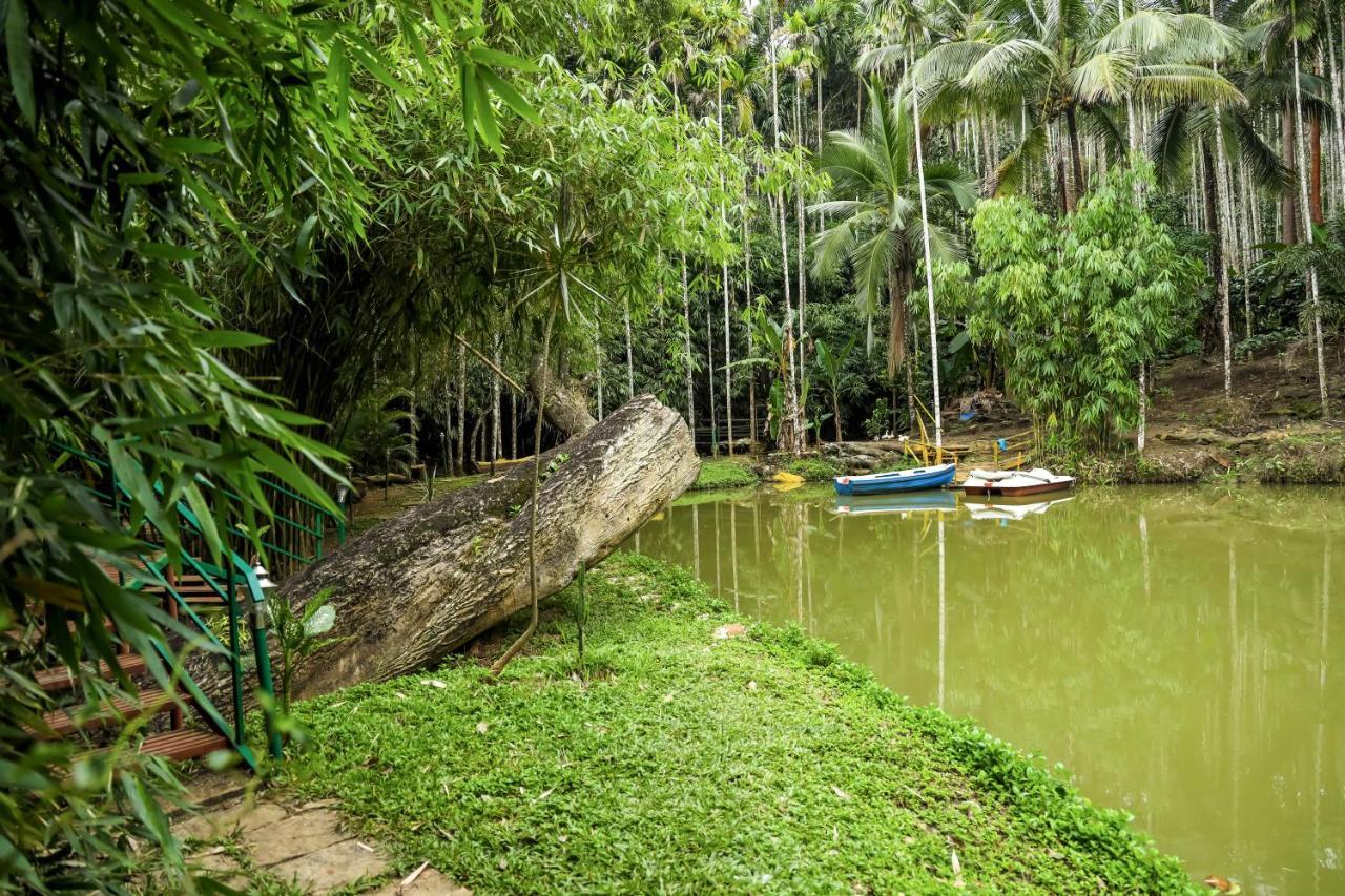 Bamboo Creek Resort Vaduvanchal Bagian luar foto