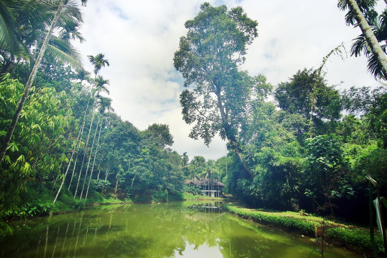 Bamboo Creek Resort Vaduvanchal Bagian luar foto