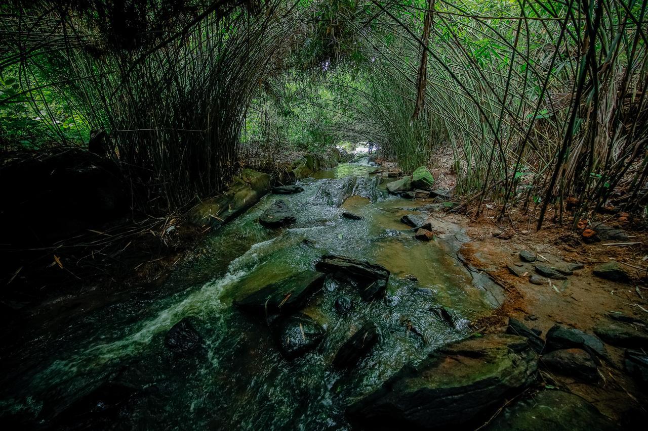 Bamboo Creek Resort Vaduvanchal Bagian luar foto