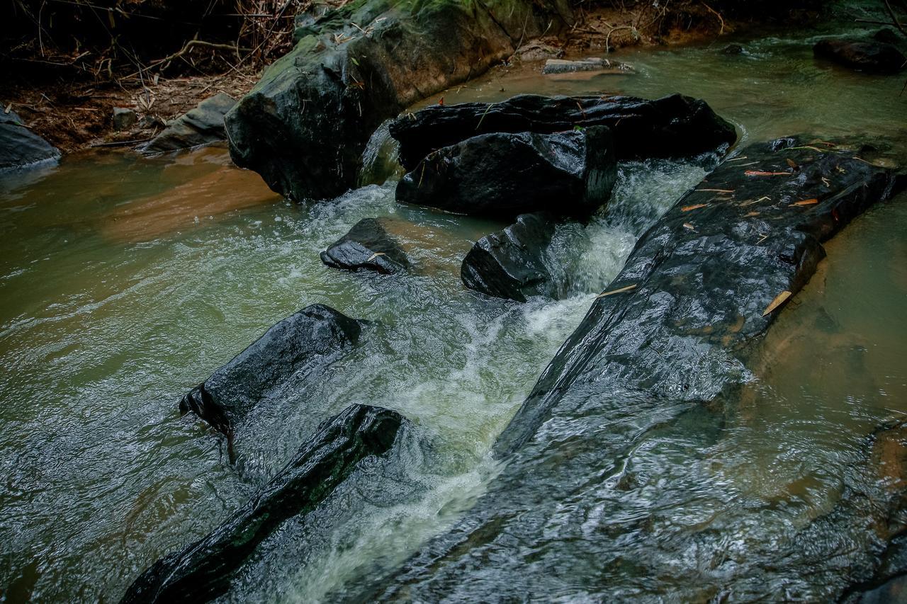 Bamboo Creek Resort Vaduvanchal Bagian luar foto