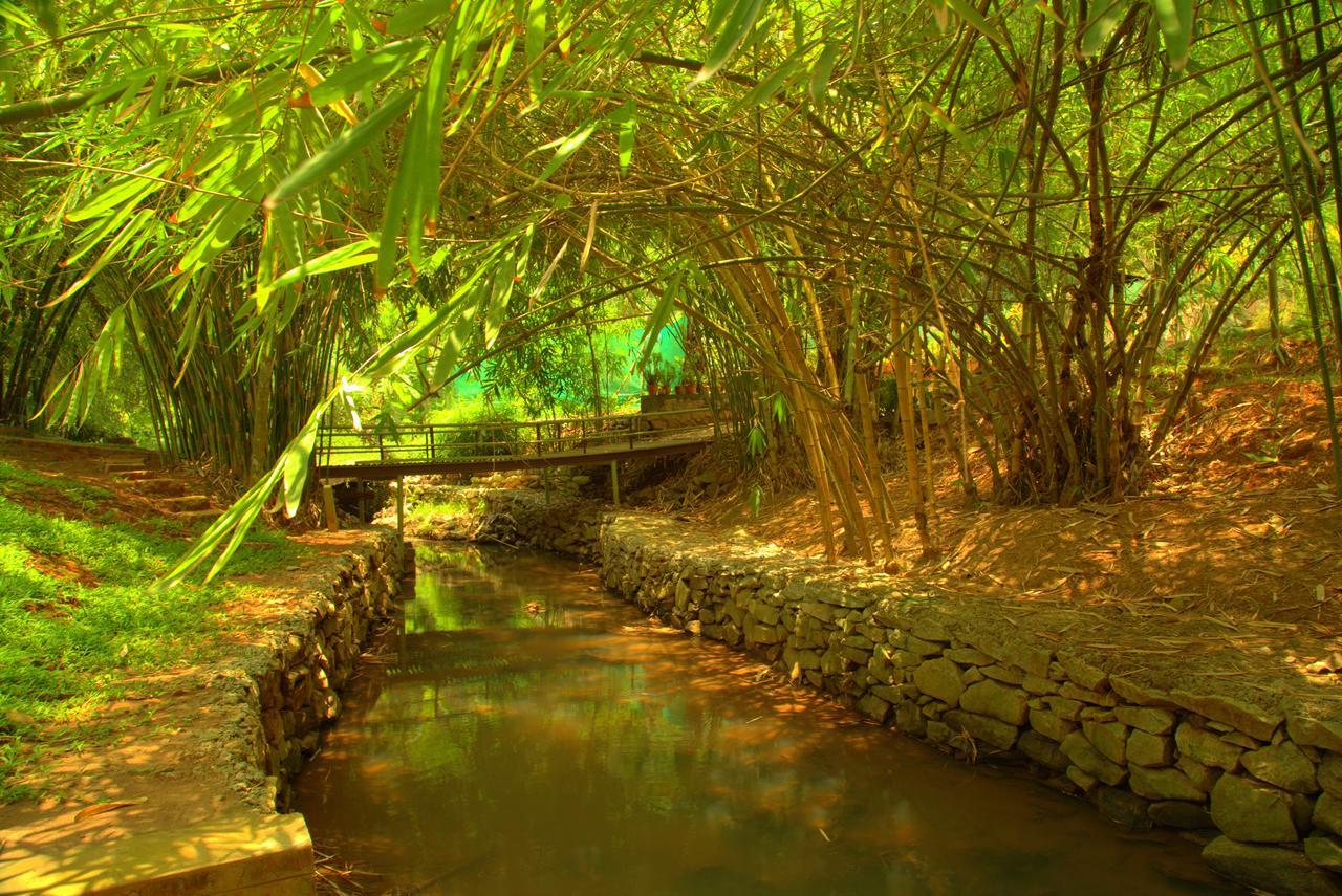 Bamboo Creek Resort Vaduvanchal Bagian luar foto