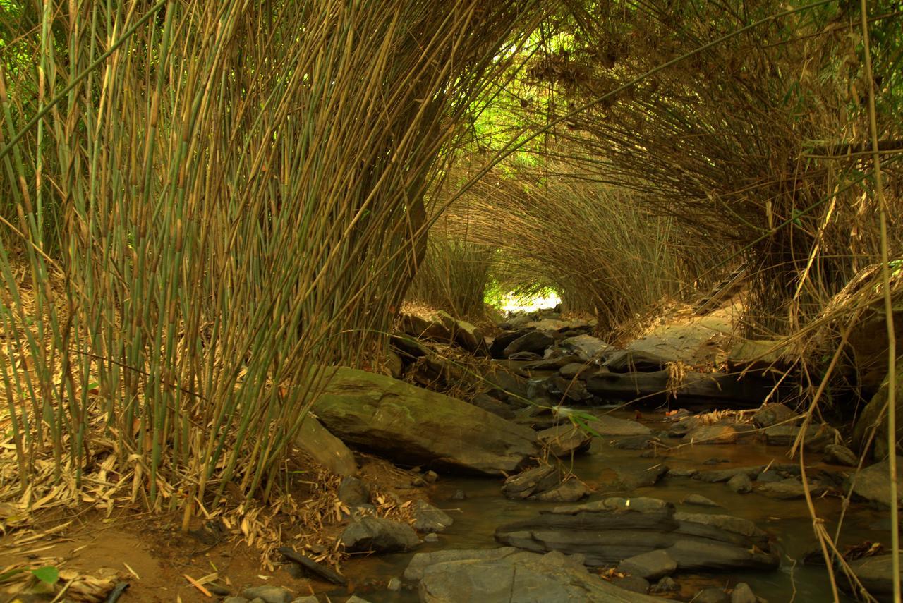 Bamboo Creek Resort Vaduvanchal Bagian luar foto