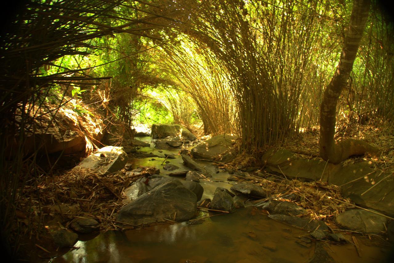 Bamboo Creek Resort Vaduvanchal Bagian luar foto