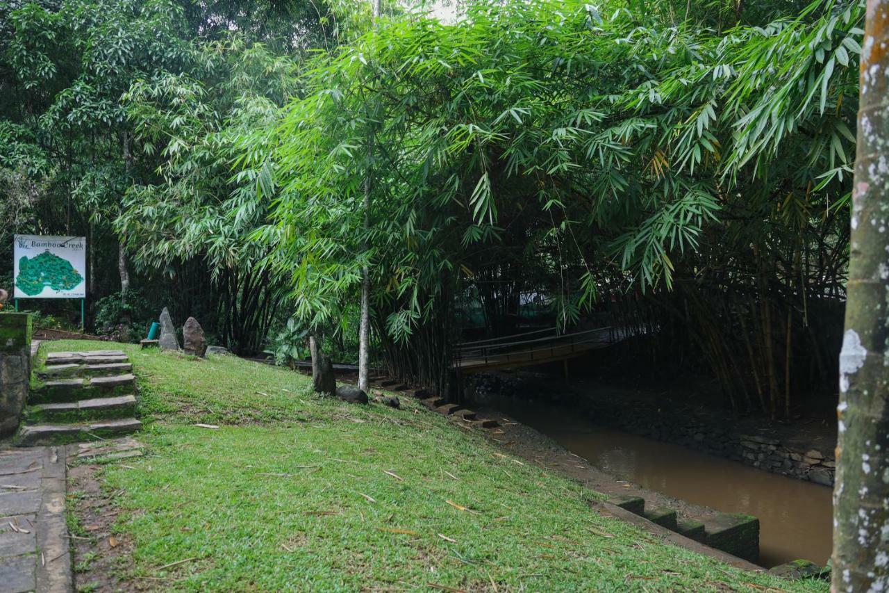 Bamboo Creek Resort Vaduvanchal Bagian luar foto