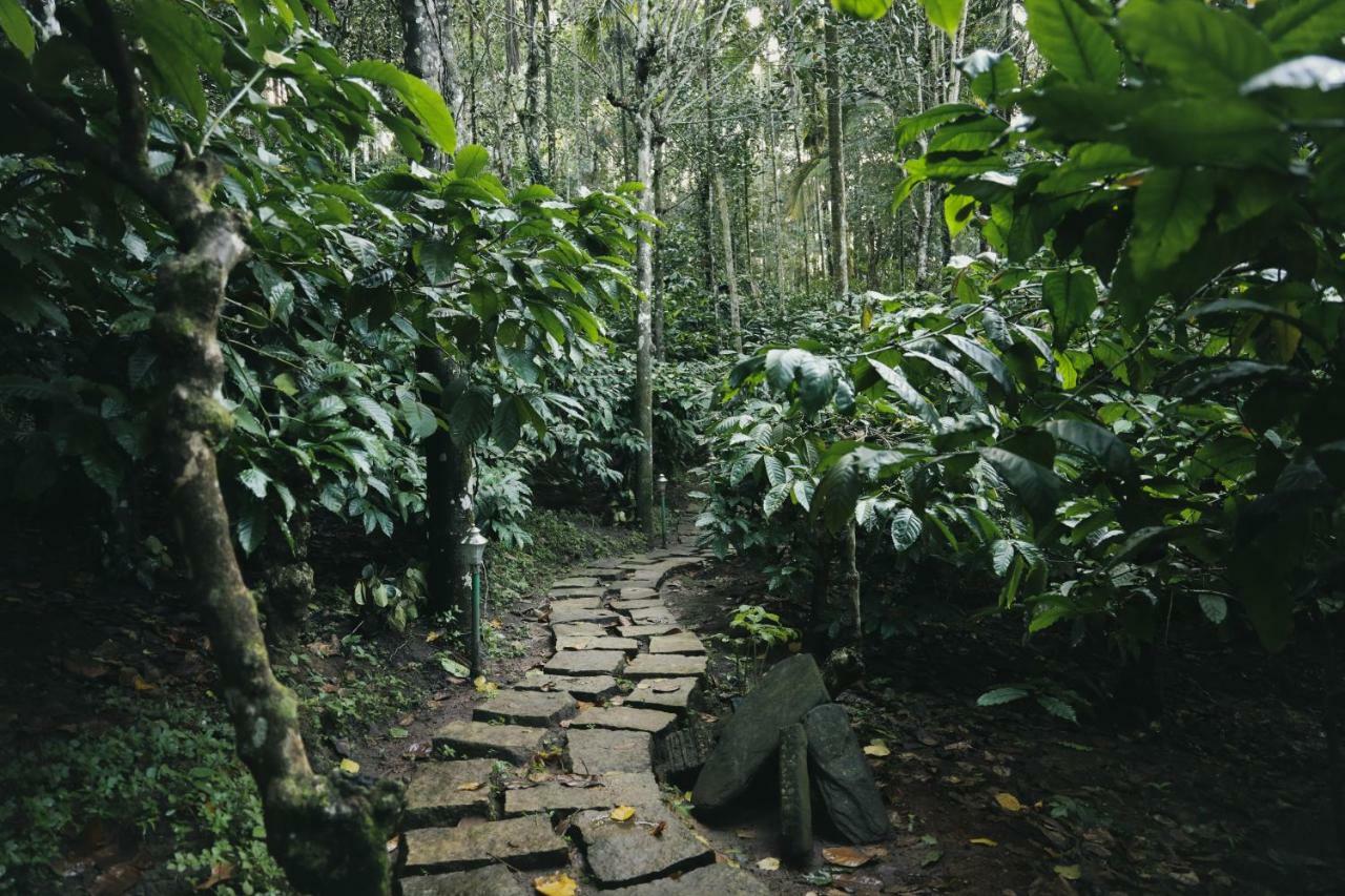 Bamboo Creek Resort Vaduvanchal Bagian luar foto