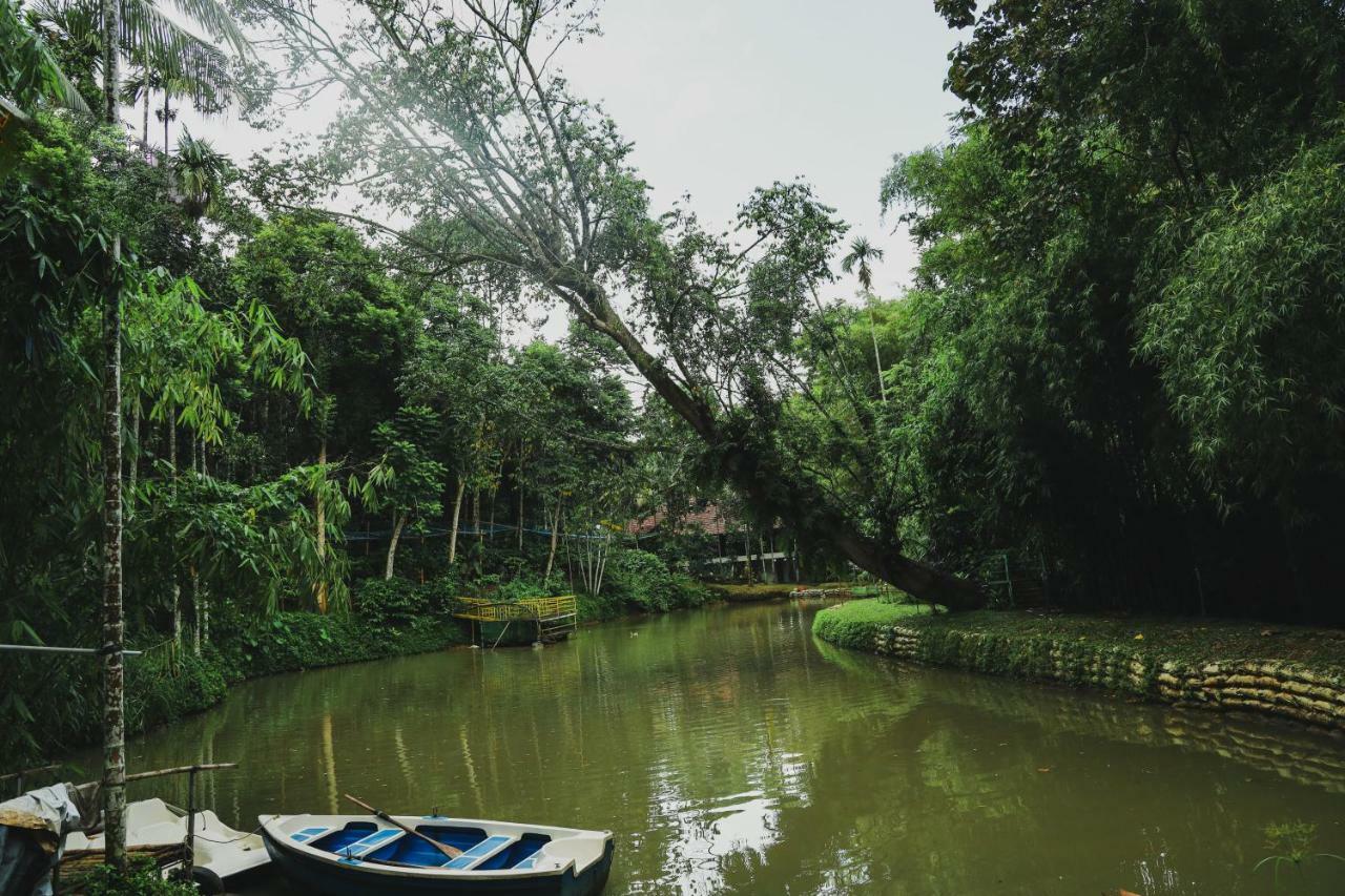 Bamboo Creek Resort Vaduvanchal Bagian luar foto