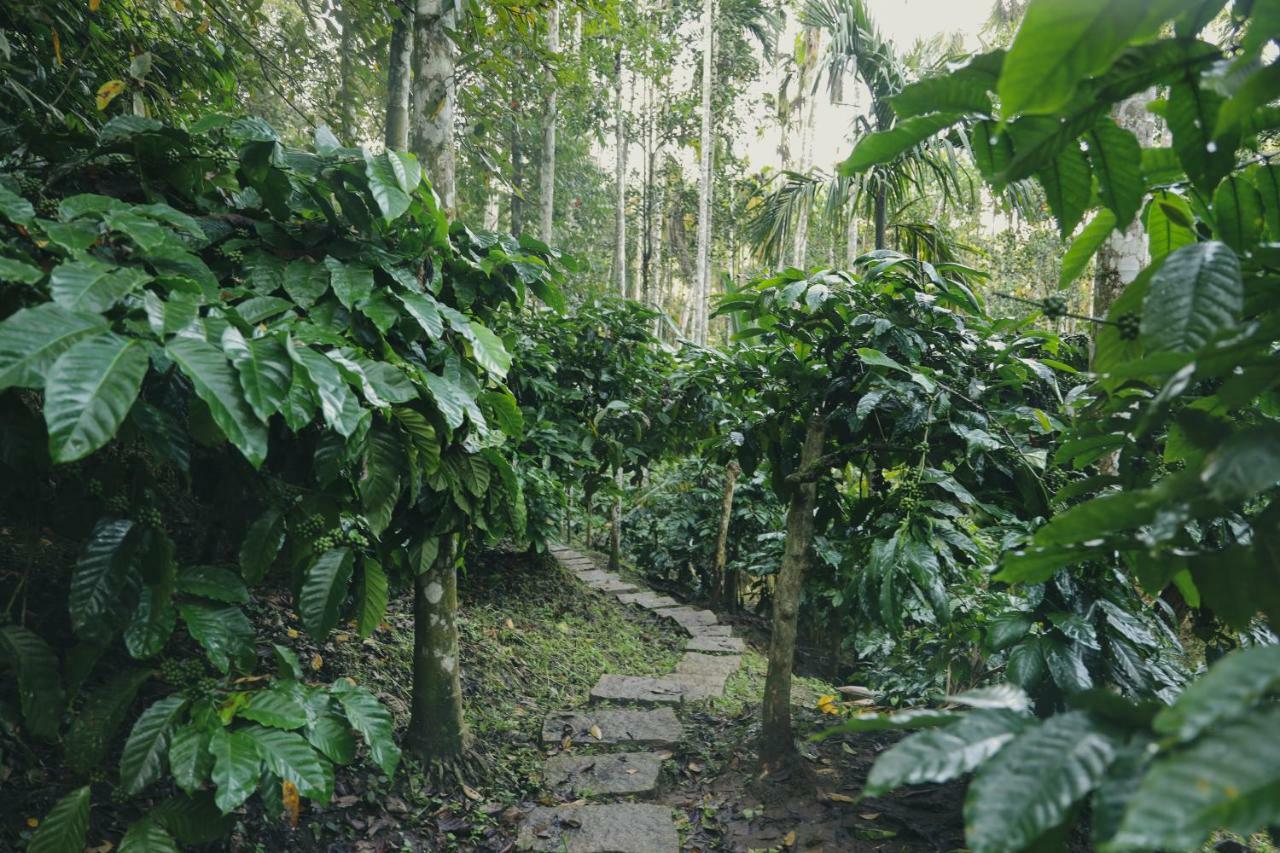 Bamboo Creek Resort Vaduvanchal Bagian luar foto