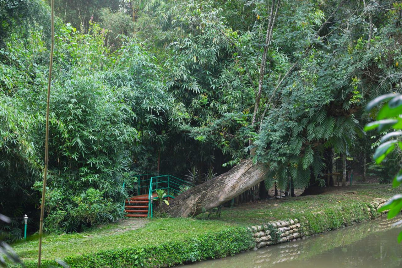 Bamboo Creek Resort Vaduvanchal Bagian luar foto